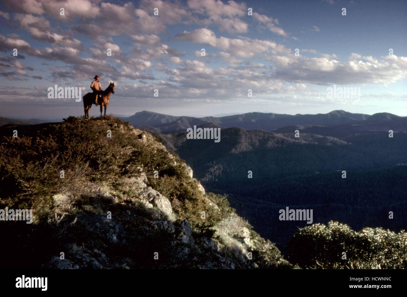 THE MAN FROM SNOWY RIVER, 1983, TM and Copyright (c)20th Century Fox ...