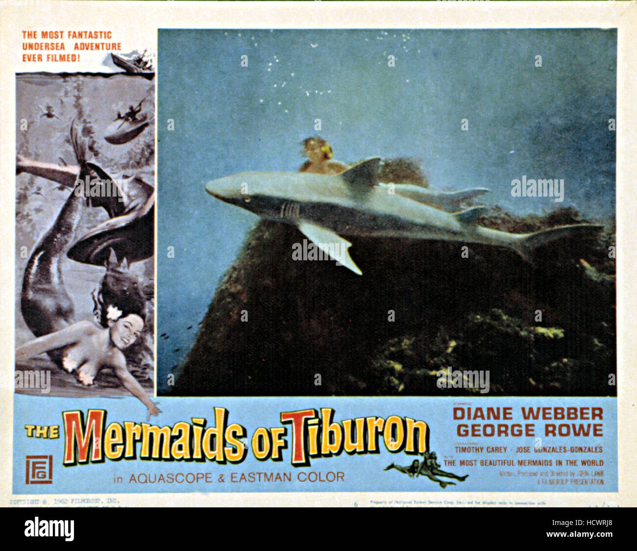 MERMAIDS OF TIBURON, Diane Webber, 1962 Stock Photo - Alamy