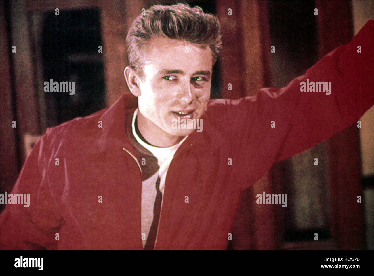 REBEL WITHOUT A CAUSE, James Dean, 1955 Stock Photo Alamy