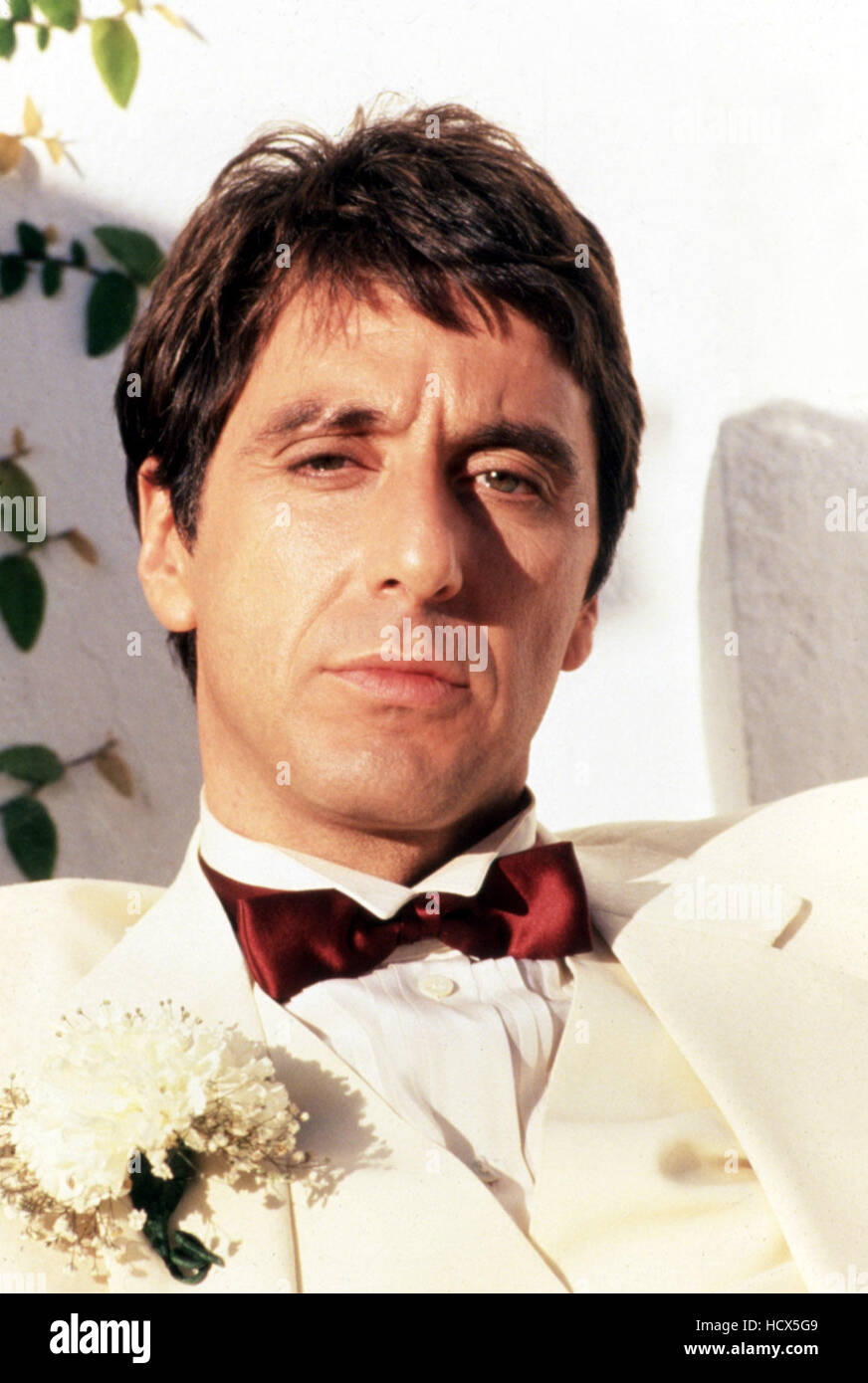 SCARFACE, Al Pacino, 1983 Stock Photo - Alamy