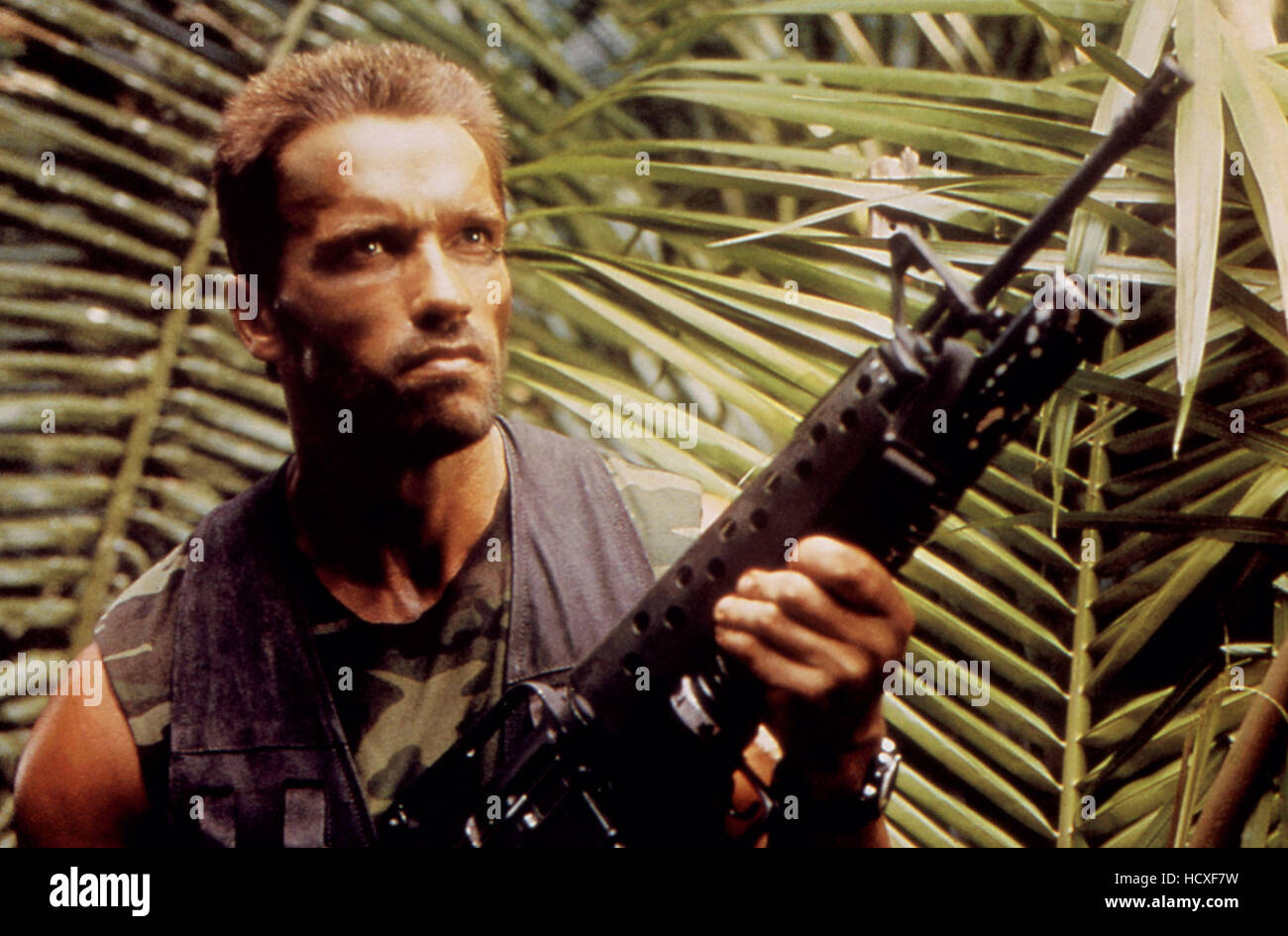 PREDATOR, Arnold Schwarzenegger, 1987, TM and Copyright (c)20th Century ...