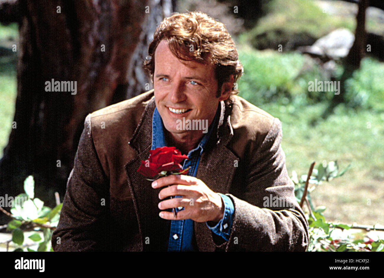 PRACTICAL MAGIC, Aidan Quinn, 1998 Stock Photo - Alamy