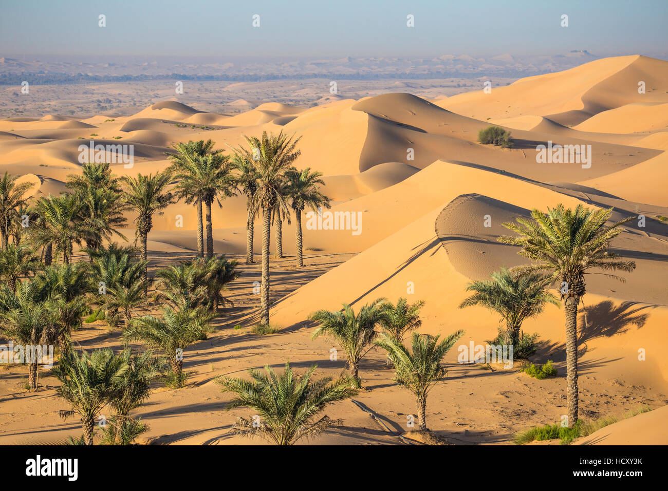 Al Ain Oasis High Resolution Stock Photography And Images Alamy