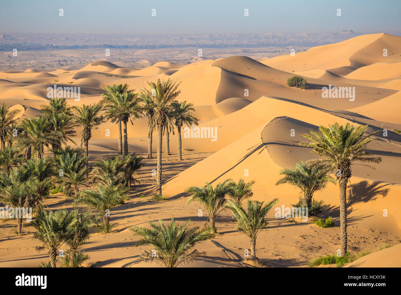 Is Al Ain In Abu Dhabi Al Ain The Great Oasis Of The United Arab Is Al Ain In Abu Dhabi Al Ain The Great Oasis Of The United Arab