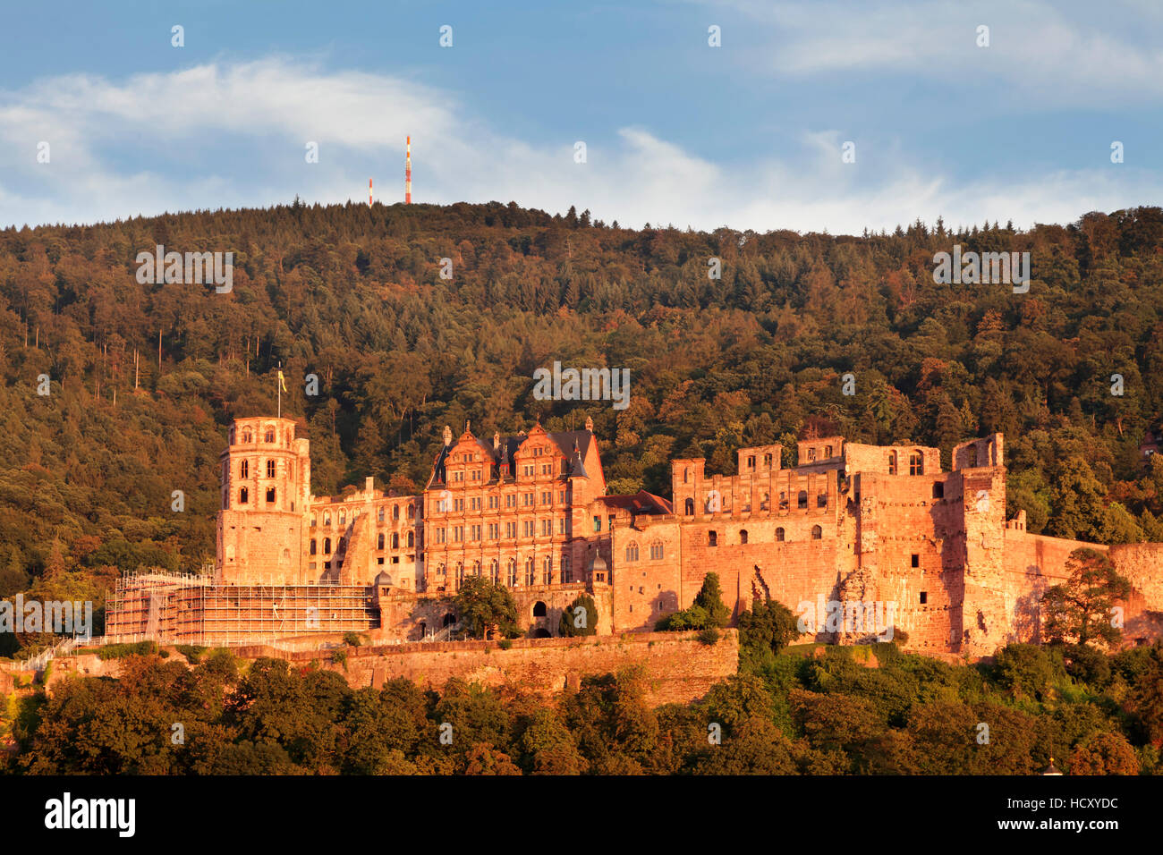 Castle at sunset, Heidelberg, Baden-Wurttemberg, Germany Stock Photo