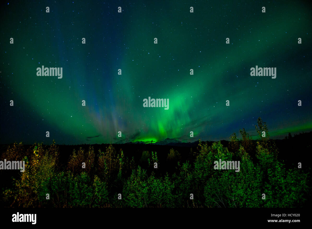 Aurora Borealis (Northern Lights) viewed from Denali Princess