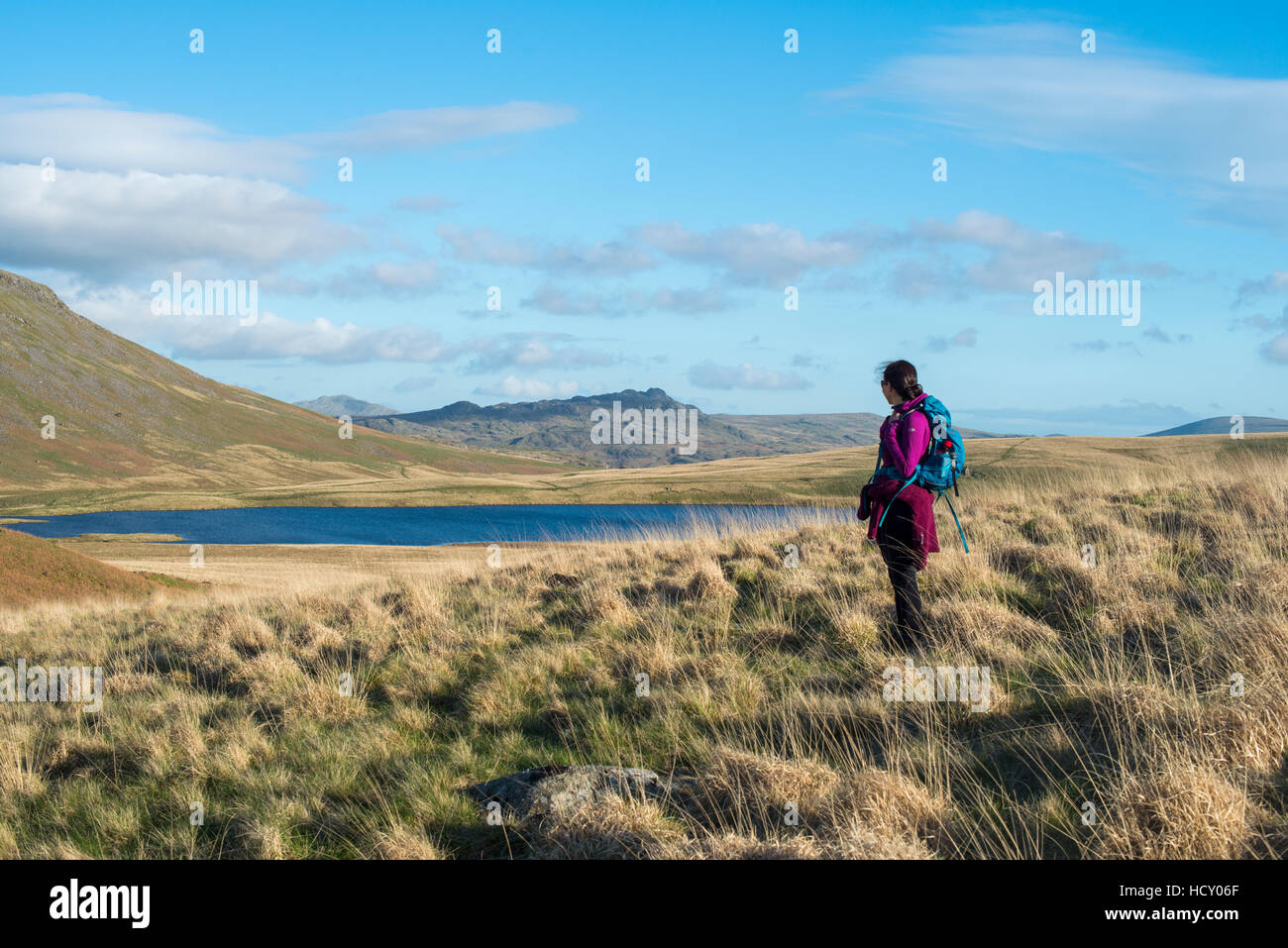 A woman trekking in the English Lake District in Wasdale looks towards Burnmoor Tarn, Lake District National Park, Cumbria, UK Stock Photo
