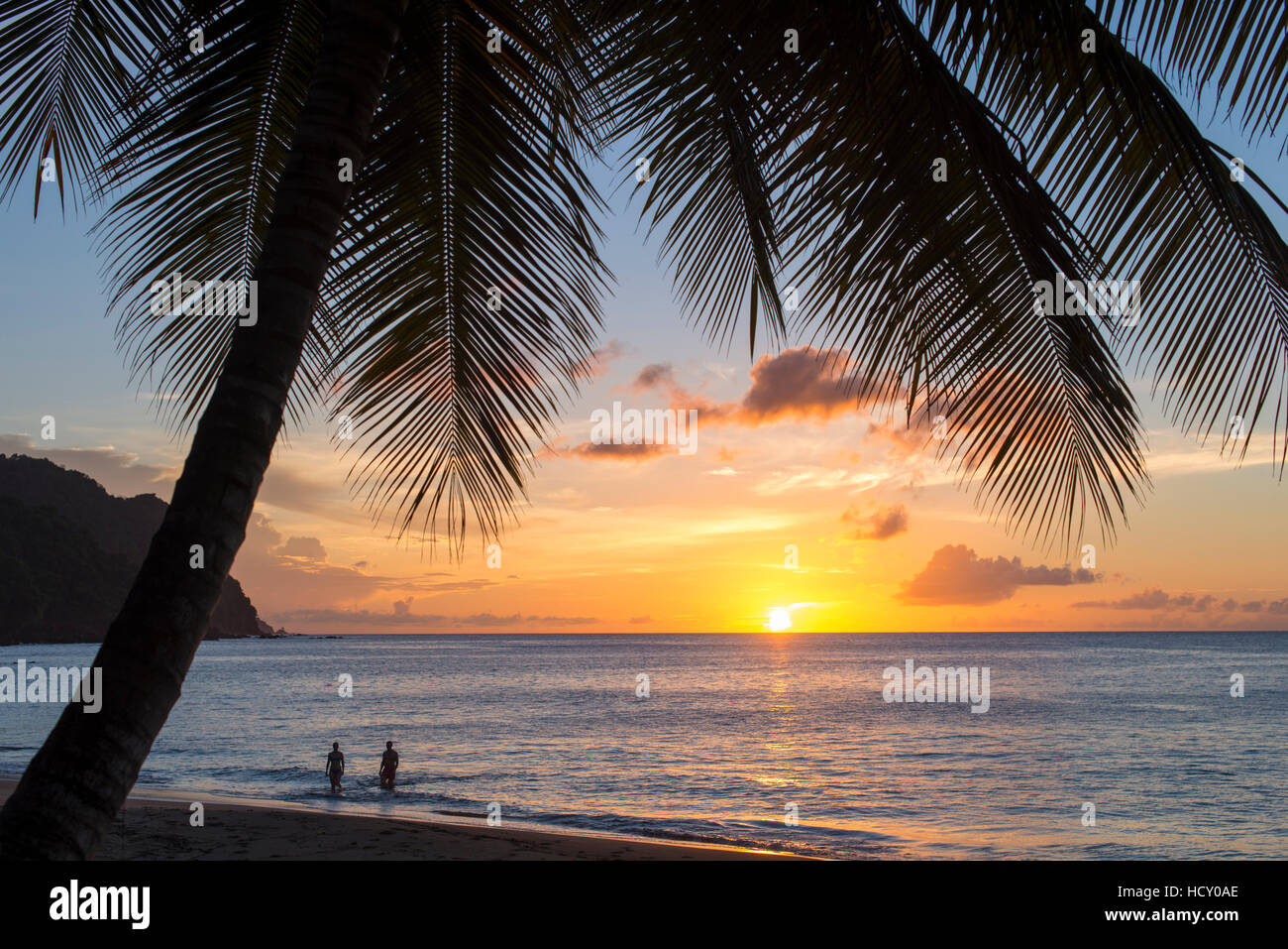 A view out to sea at sunset beneath the palm trees at Castara Bay in Tobago, Trinidad and Tobago, West Indies, Caribbean Stock Photo