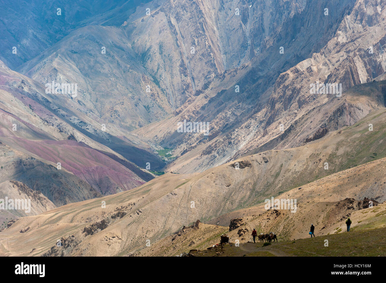 Trekkers and ponies make their way down from the Konze La during the Hidden Valleys trek in Ladakh, India Stock Photo