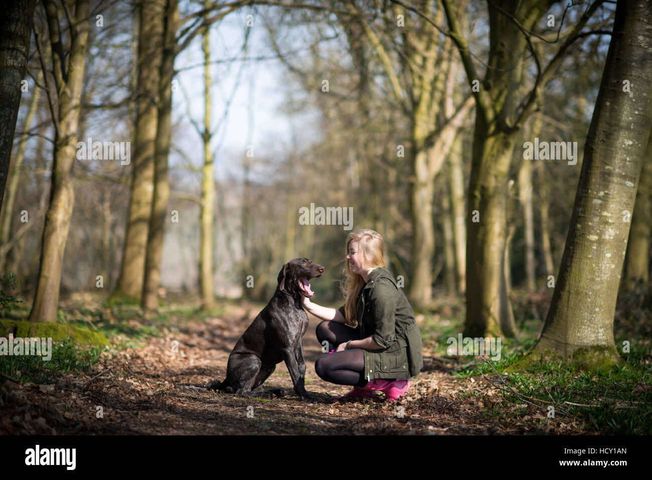 A girl takes her German short-haired pointer for a walk in woods near Ashmore in Dorset, UK Stock Photo
