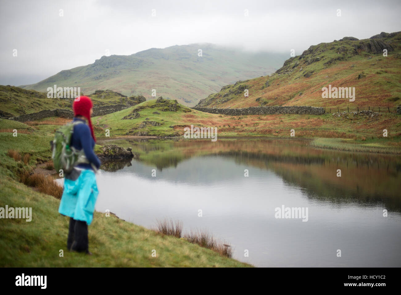 A woman looks out over Alcock Tarn near Grasmere, Lake District National Park, Cumbria, UK Stock Photo
