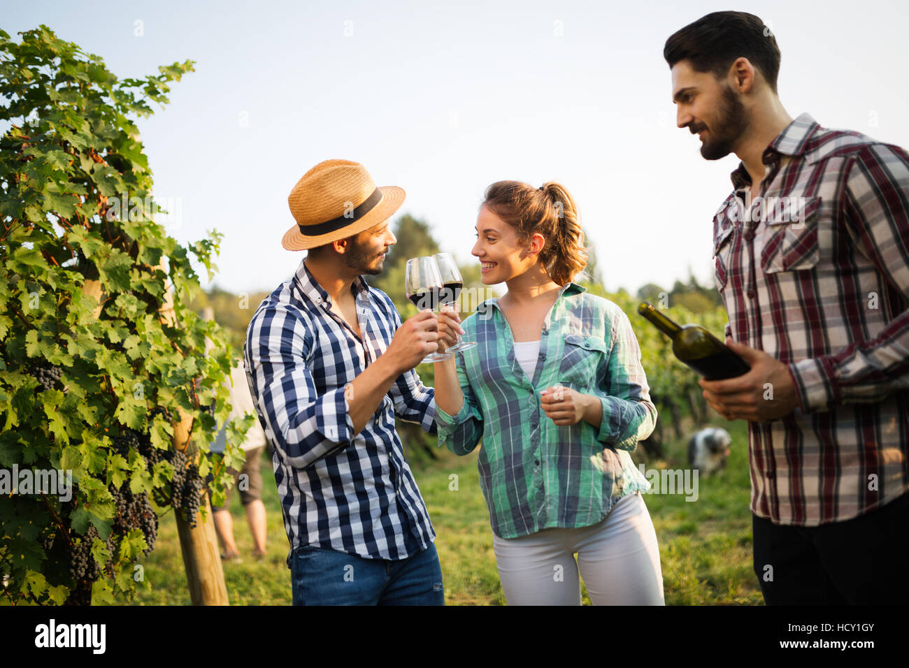 Happy wine tourists tasting wine in vineyard Stock Photo