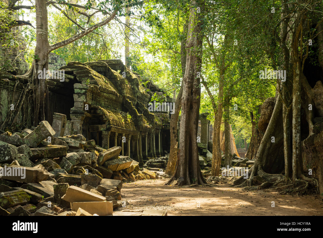 The jungle hides the ancient ruins of Ta Prohm in the Angkor National Park, UNESCO, Siem Reap, Cambodia, Indochina, Southeast Stock Photo