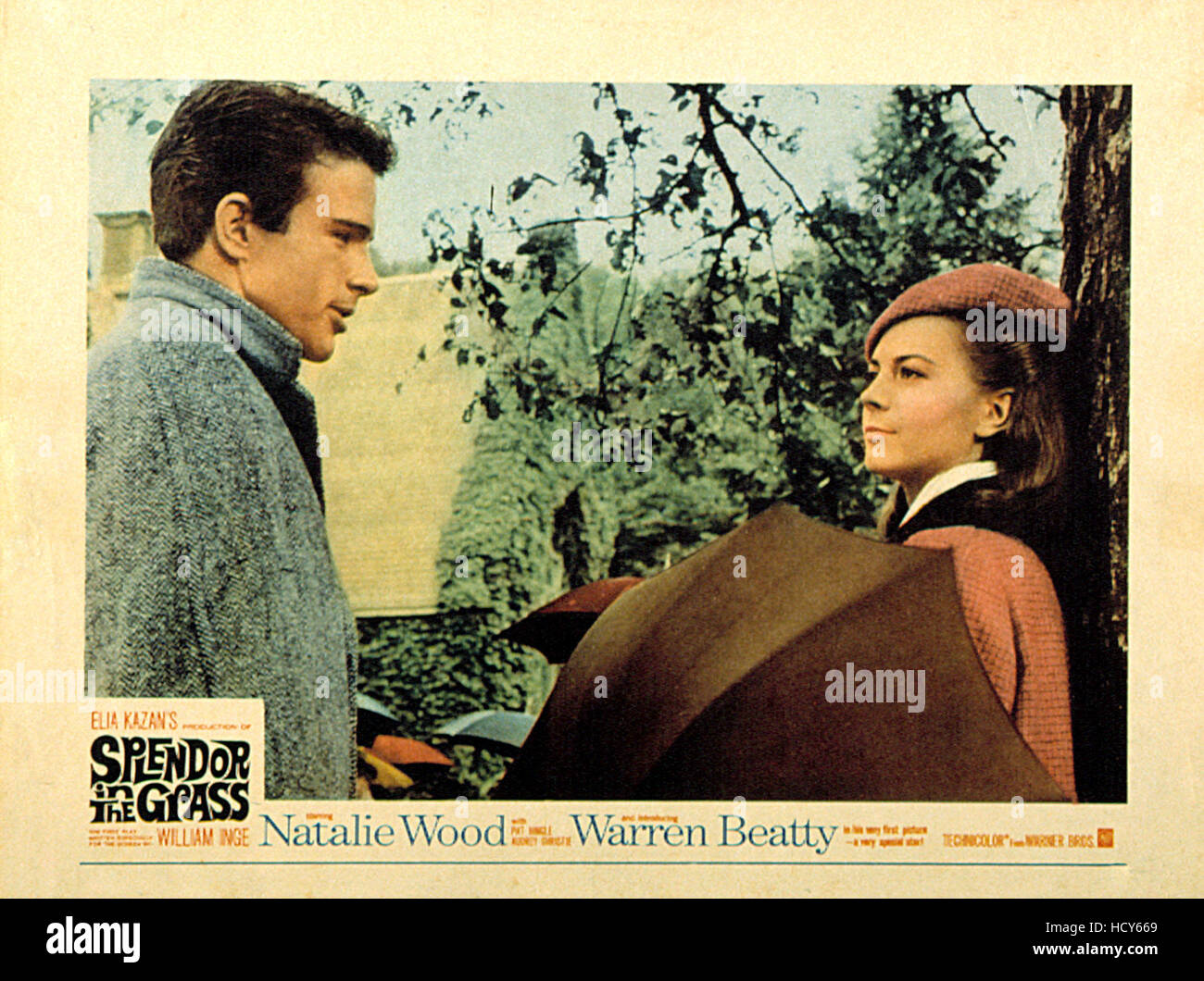 splendor-in-the-grass-warren-beatty-natalie-wood-1961-stock-photo