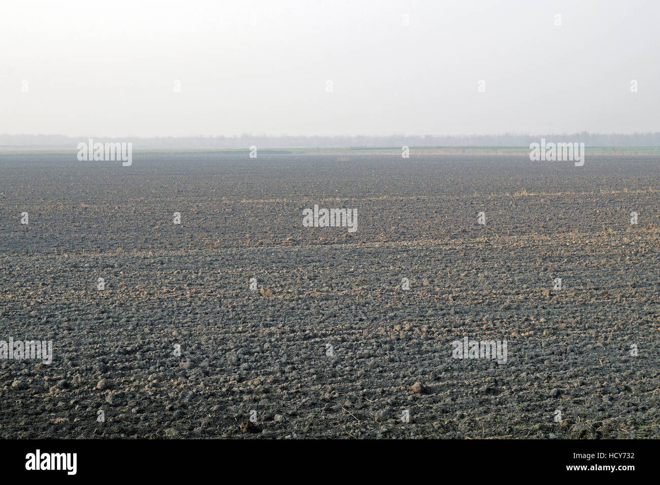 Fog field scenery hi-res stock photography and images - Alamy
