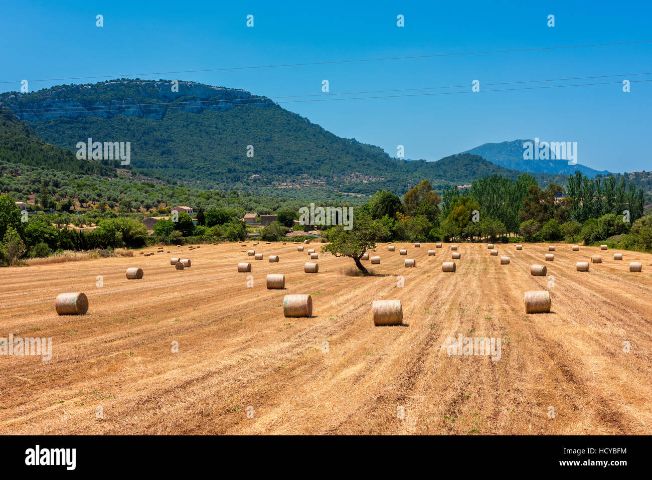 Hay Circles in field near Valldemossa Mallorca Stock Photo
