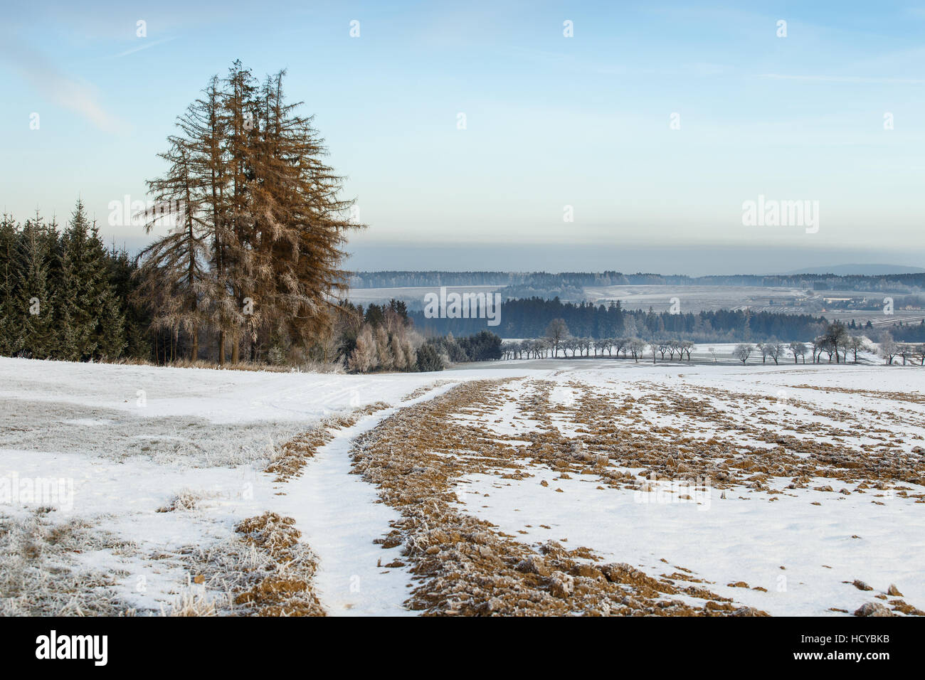 Winter landscape with frozen trees in field and blue sky Stock Photo ...
