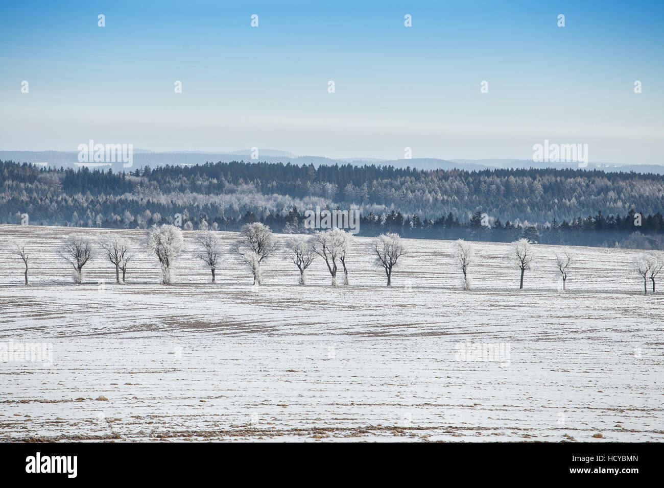 Winter landscape with frozen trees in field and blue sky Stock Photo ...