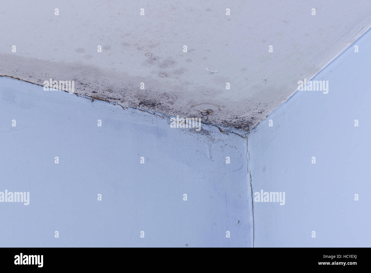 Black Mould On The Walls And Ceiling Of A Room Stock Photo