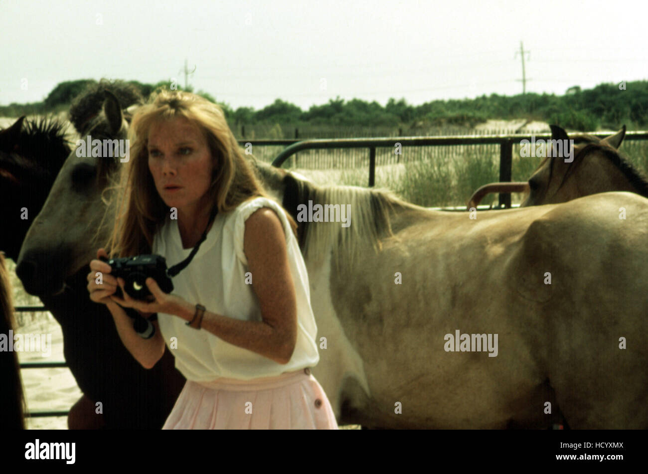 VIOLETS ARE BLUE, Sissy Spacek, 1986 Stock Photo Alamy