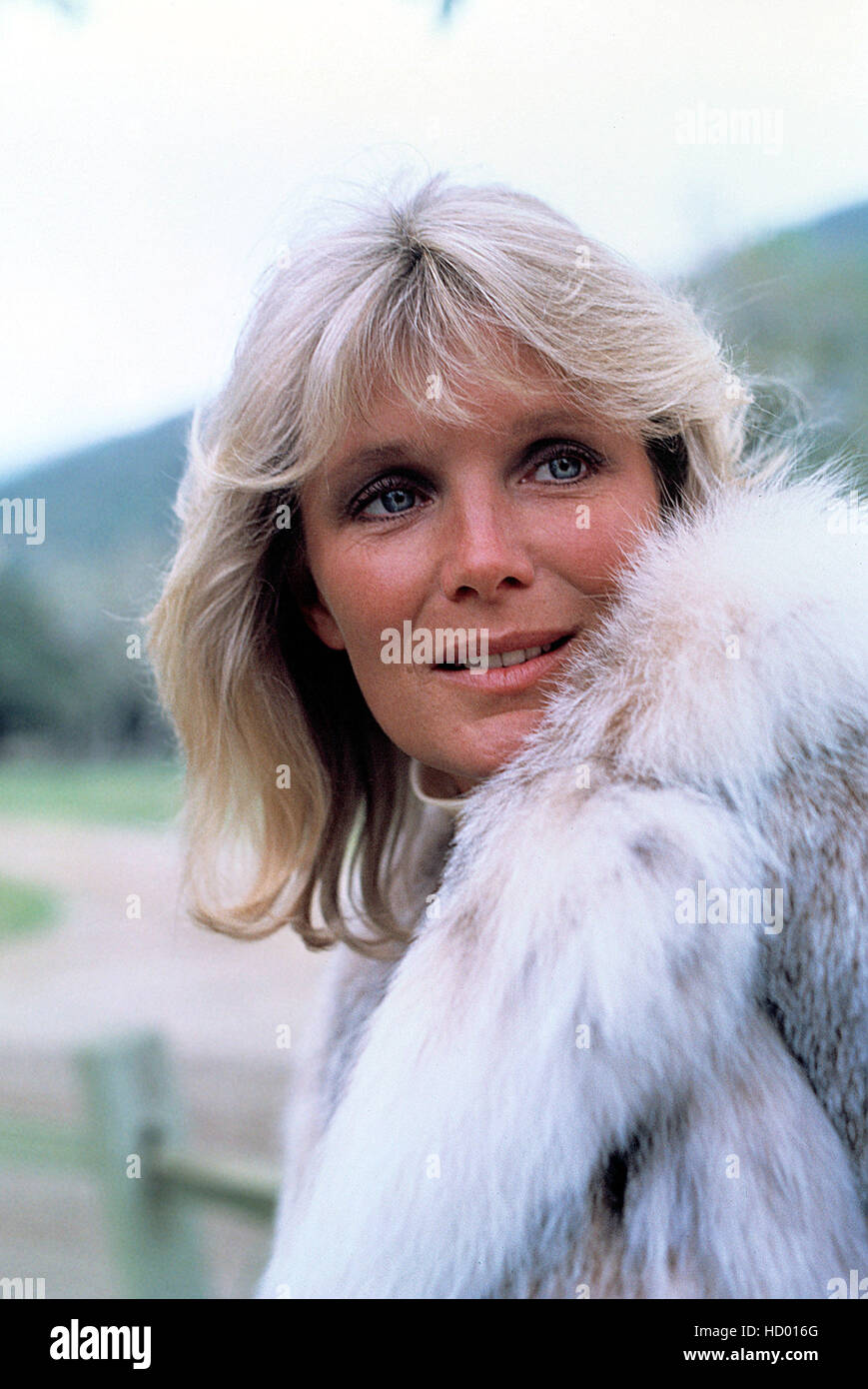 DYNASTY, Linda Evans, 19811989 Stock Photo Alamy