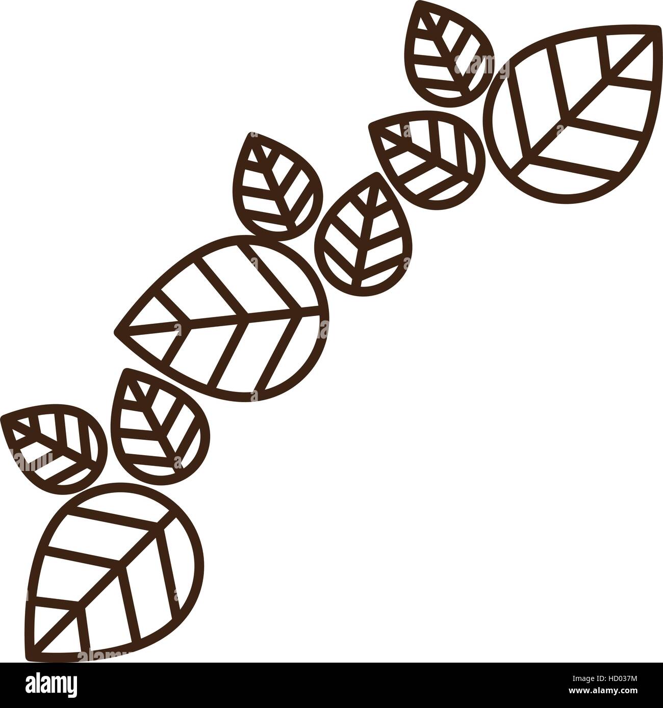 Isolated leaves decoration design Stock Vector Image & Art - Alamy