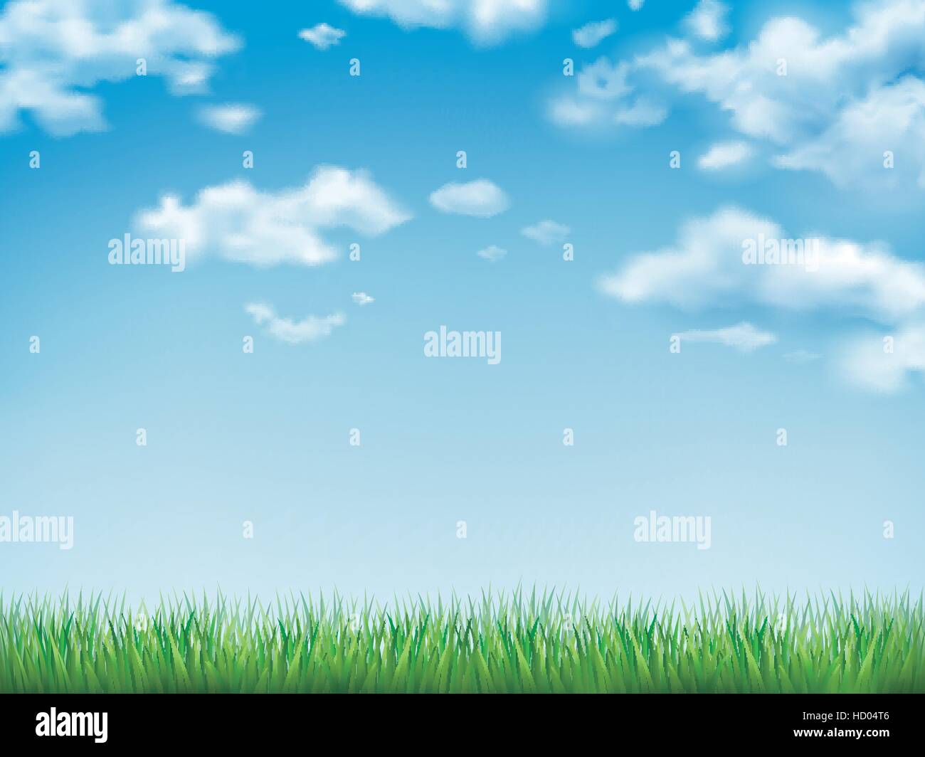blue sky and field of green grass background Stock Vector Image & Art ...
