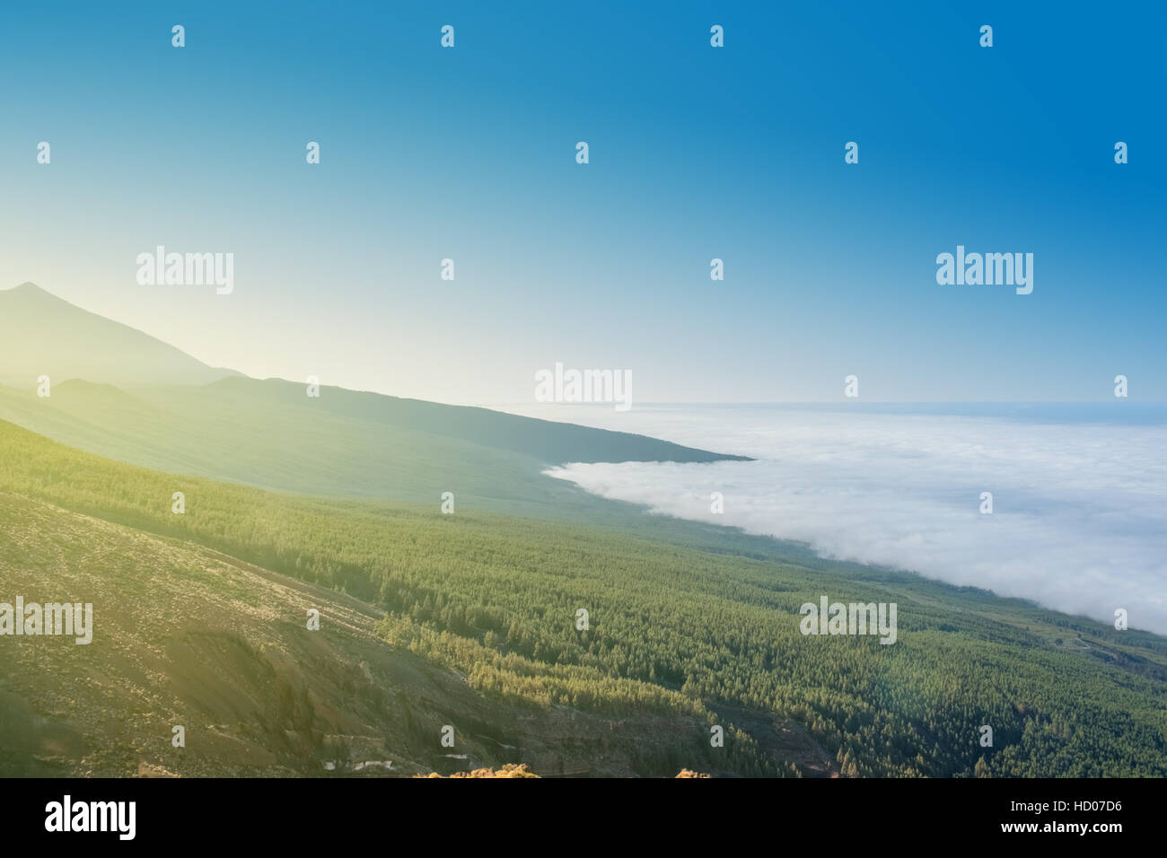 mountain landscape, forest and clear blue sky Stock Photo