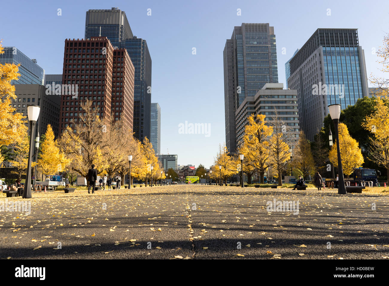 Fall Season In Tokyo Japan Stock Photo Alamy Fall Season In Tokyo Japan Stock Photo Alamy