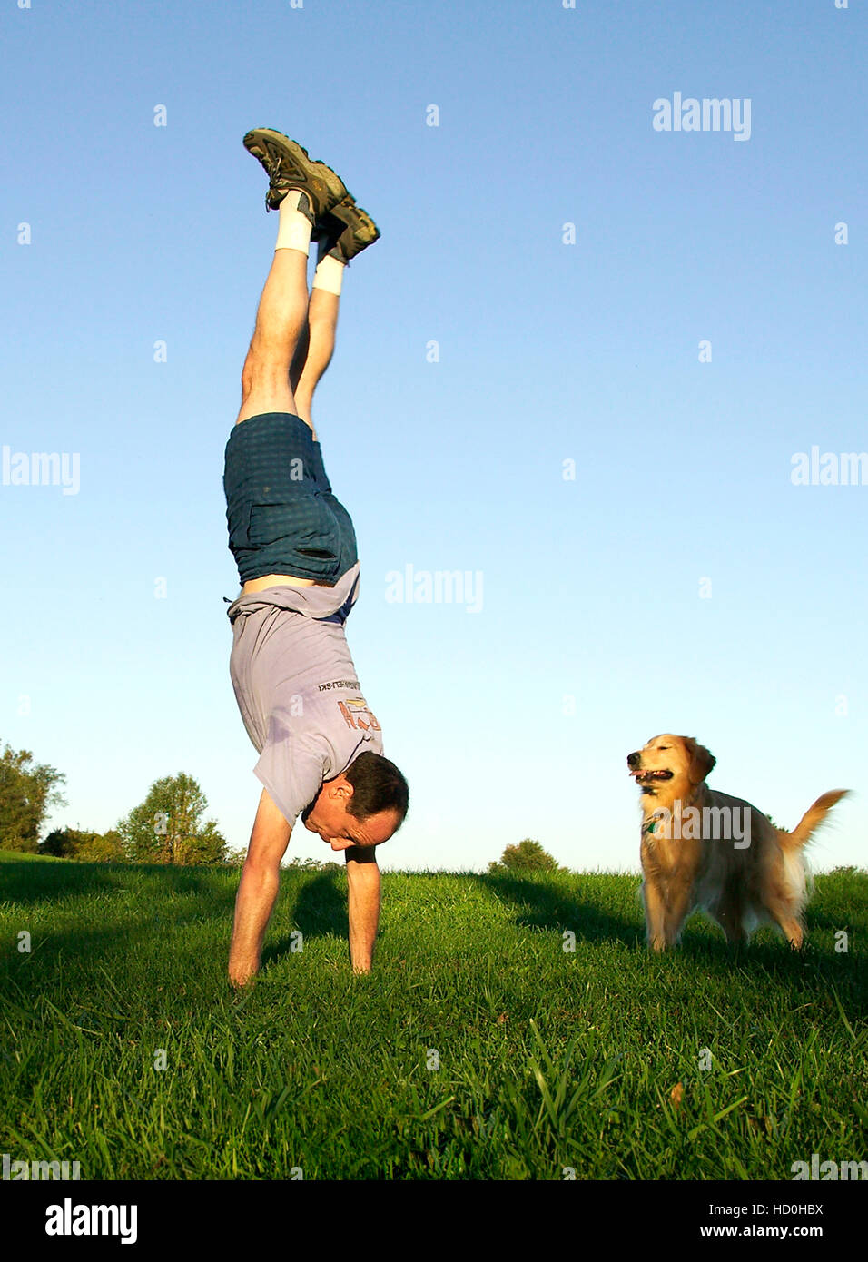 Photographer H. Mark Weidman doing a handstand in a green field with a Golden Retriever looking on. Stock Photo