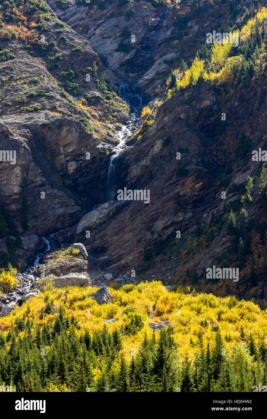 Aspen Trees in fall color, Cascade Canyon, Grand Teton National Park, Wyoming; USA Stock Photo