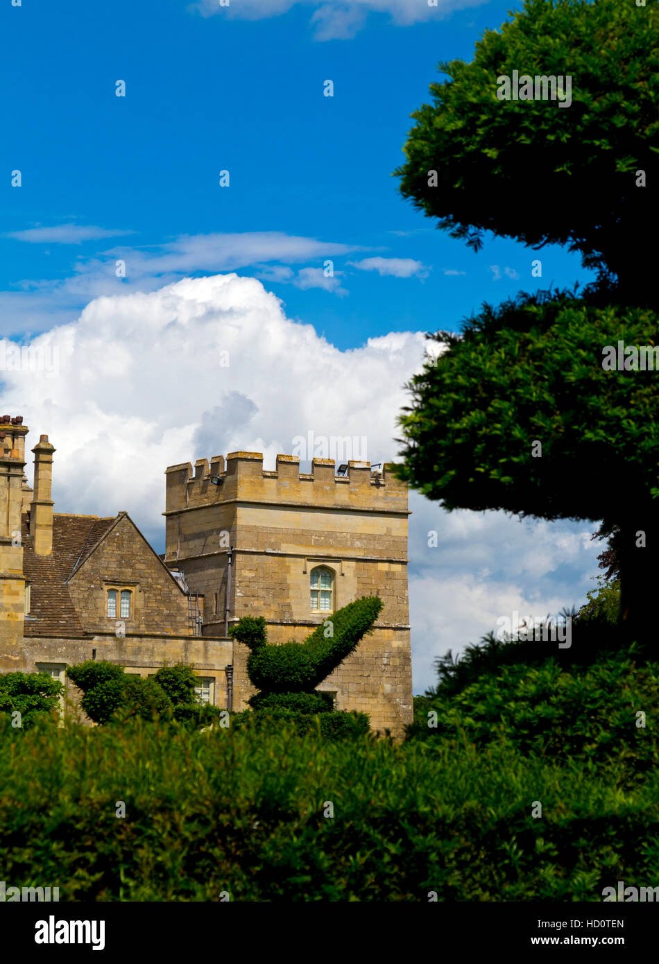 Topiary hedges at Grimsthorpe Castle in Lincolnshire England UK home of ...