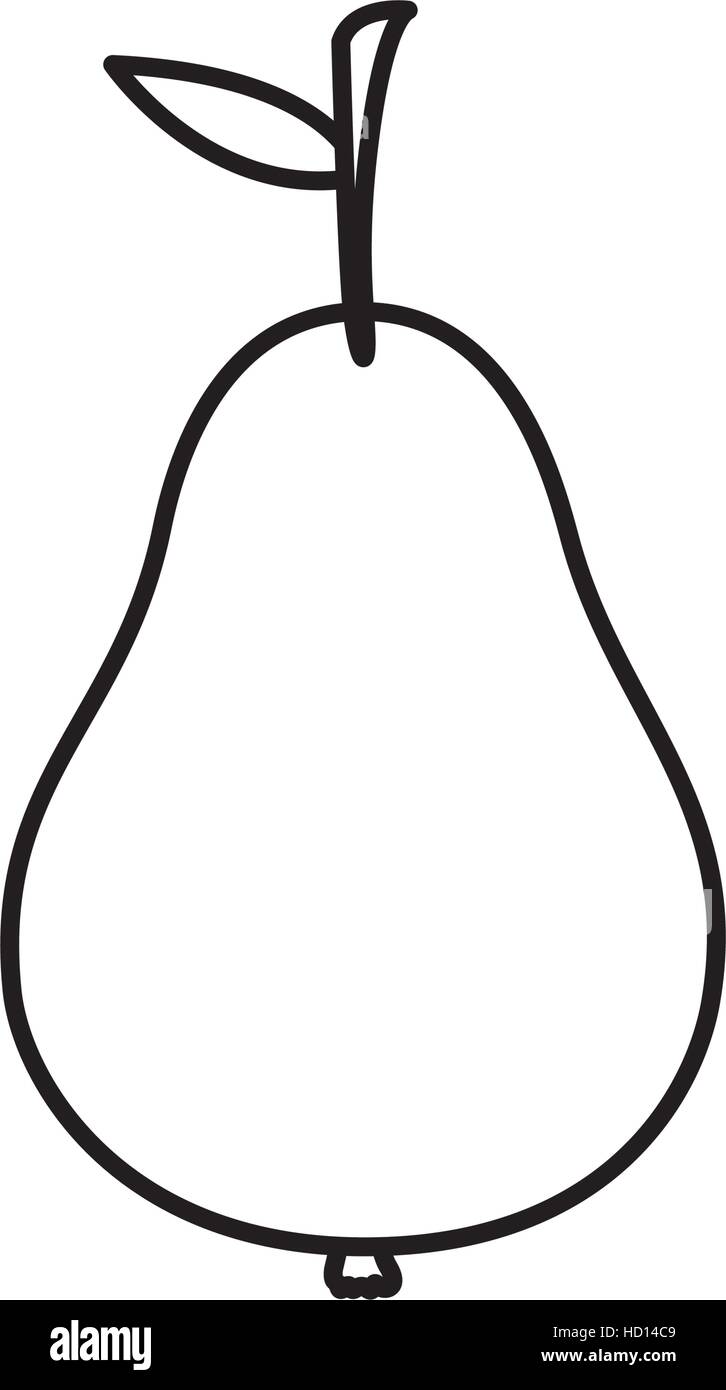 Isolated pear design Stock Vector Image & Art - Alamy