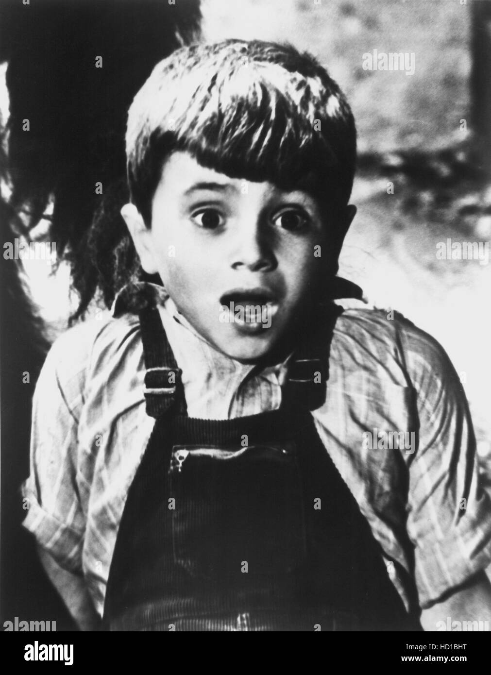 THE LITTLE RASCALS/OUR GANG COMEDIES, Robert Blake (aka Mickey