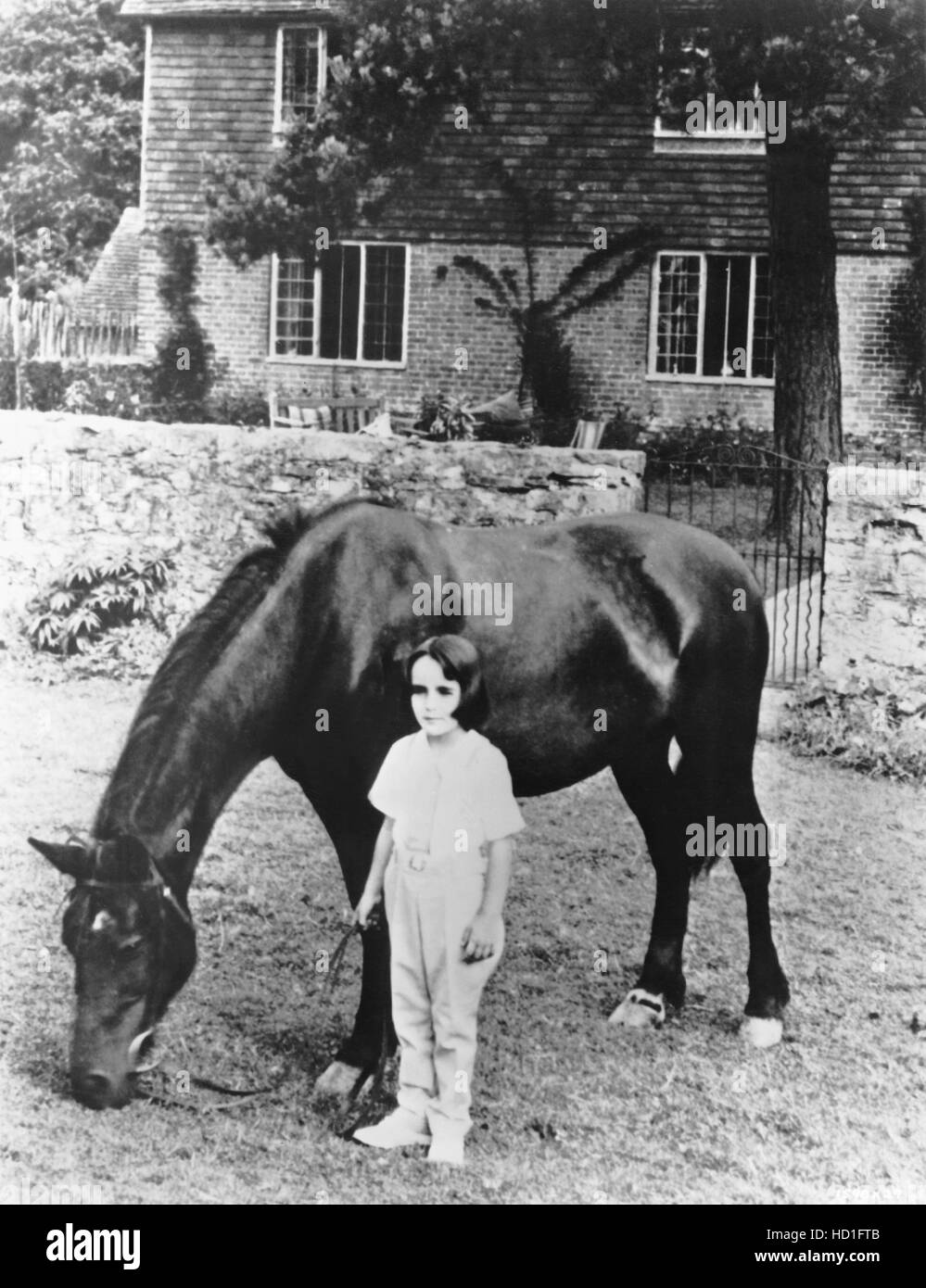 Elizabeth Taylor, already an equestrienne, ca. 193637 Stock Photo Alamy