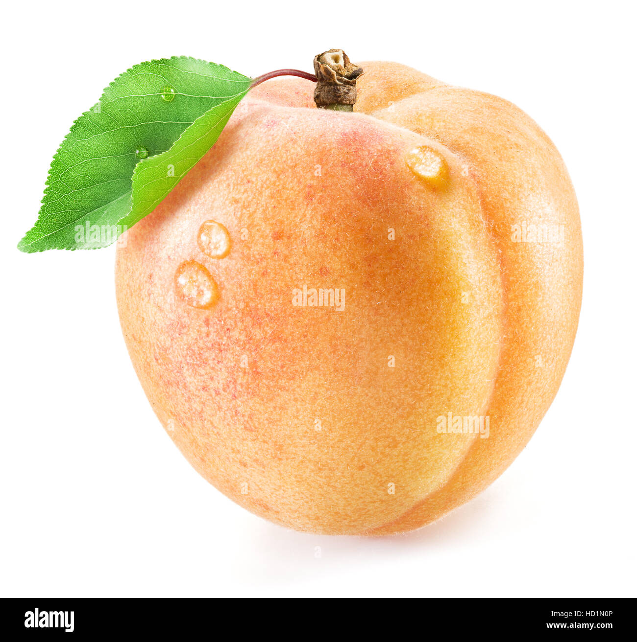 Apricot fruit with leaf and water drops on it on the white background. Stock Photo