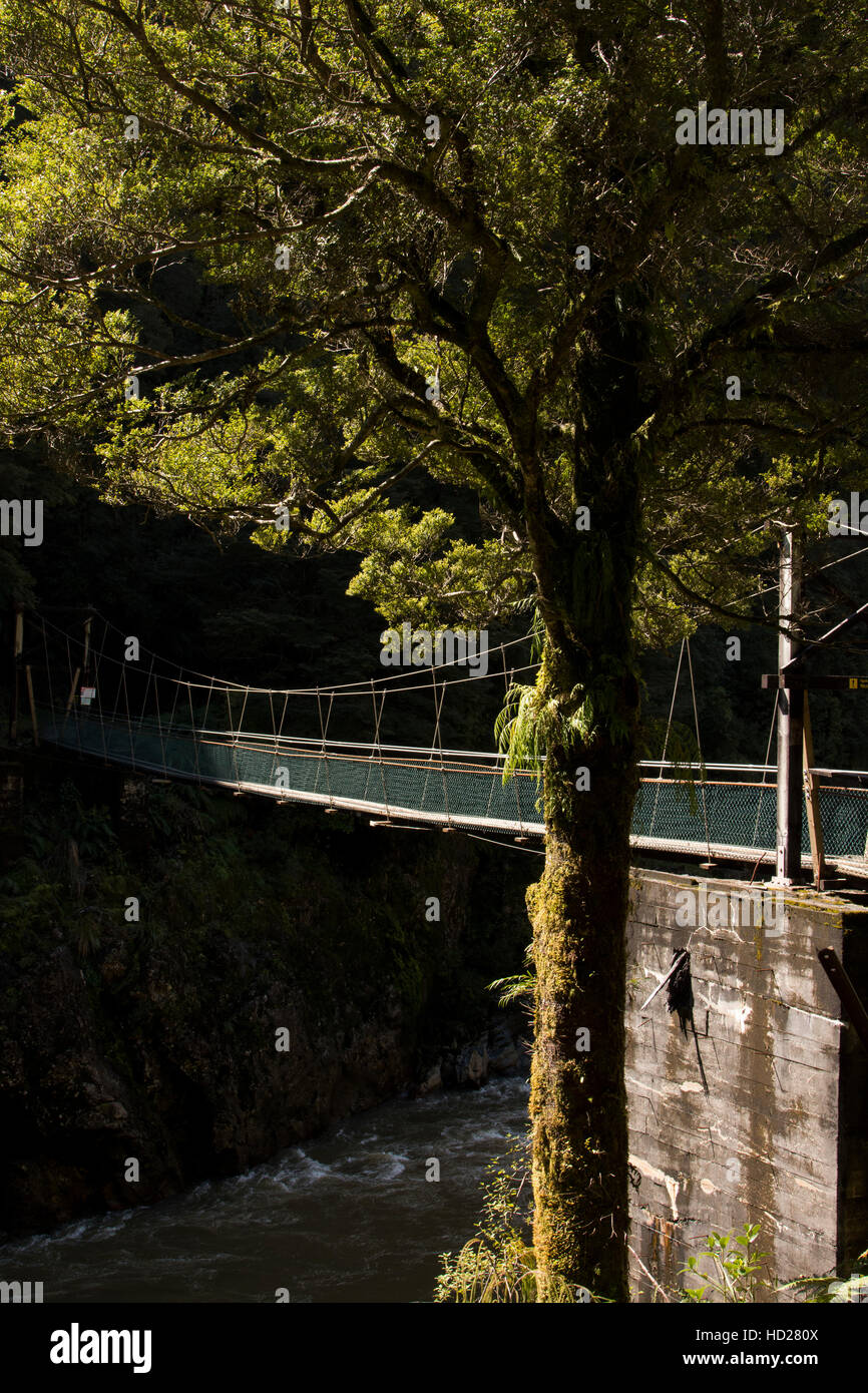 The suspension bridge over Ngakawau River along the Charming Creek Walkway was built by New Zealand Army. Stock Photo
