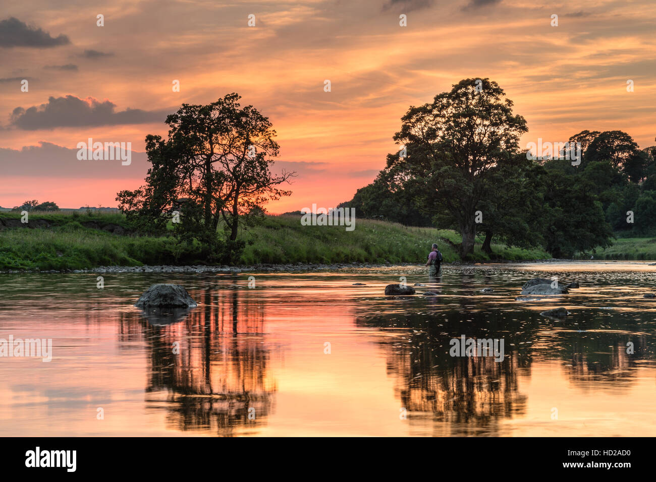 A dramatic sunset is reflected in the water as a fly fisherman casts on the River Wharfe at Appletreewick, Yorkshire Dales, UK Stock Photo