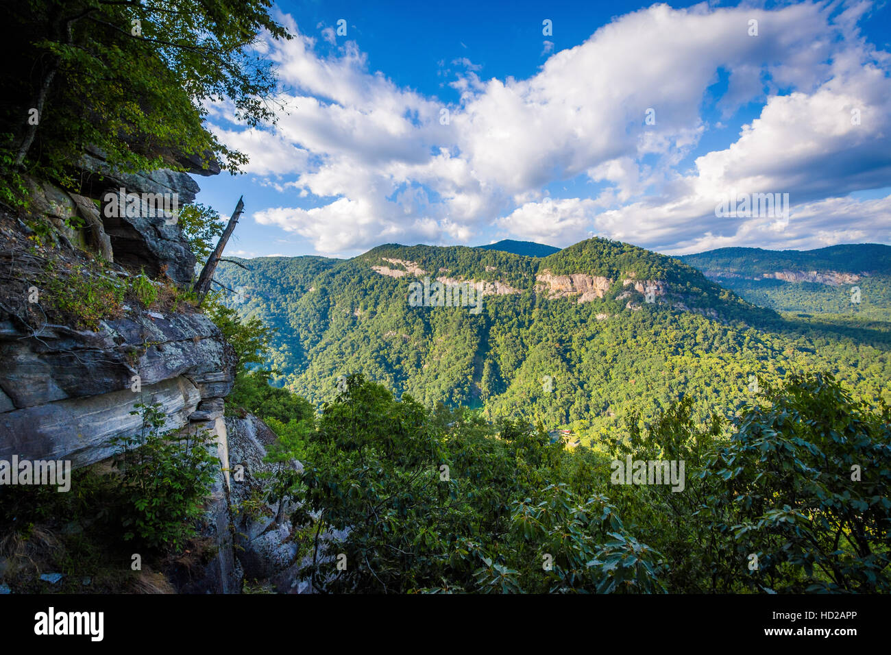 View from Pulpit Rock, at Chimney Rock State Park, North Carolina. Stock Photo