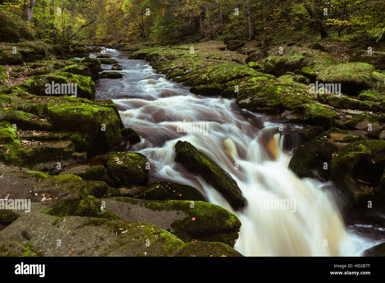 Autumn view of the River Wharfe at The Strid between Barden and Bolton Abbey, Yorkshire Dales National Park, Stock Photo