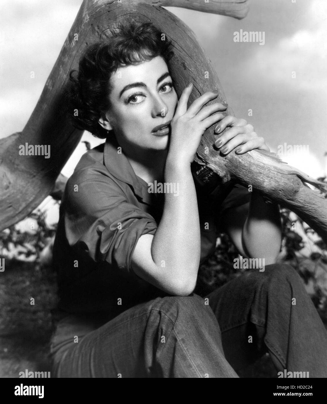 JOAN CRAWFORD, 1950s Stock Photo - Alamy