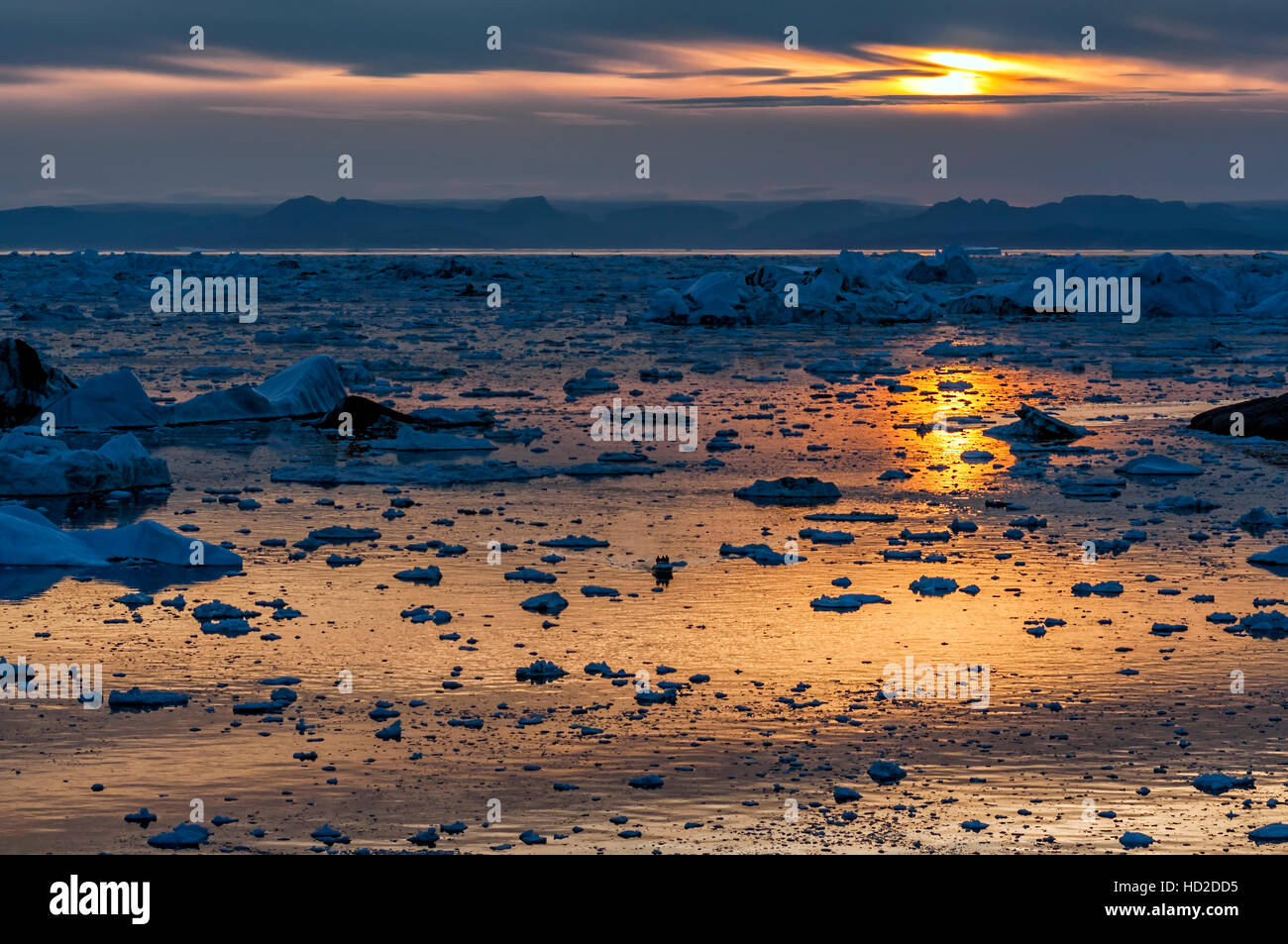 North grenland hi-res stock photography and images - Alamy