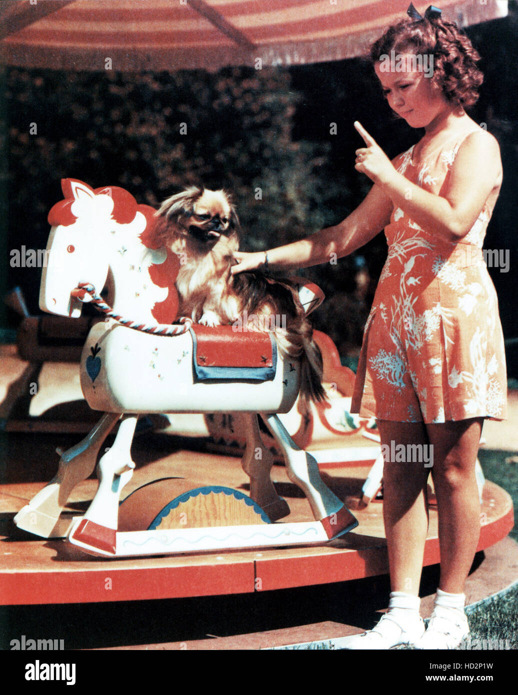 Shirley Temple at home with her dog and her toys Stock Photo - Alamy