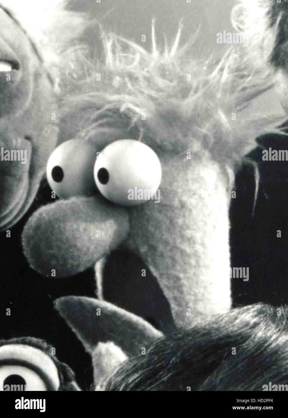 BEAKER, from the Muppet Show Stock Photo Alamy
