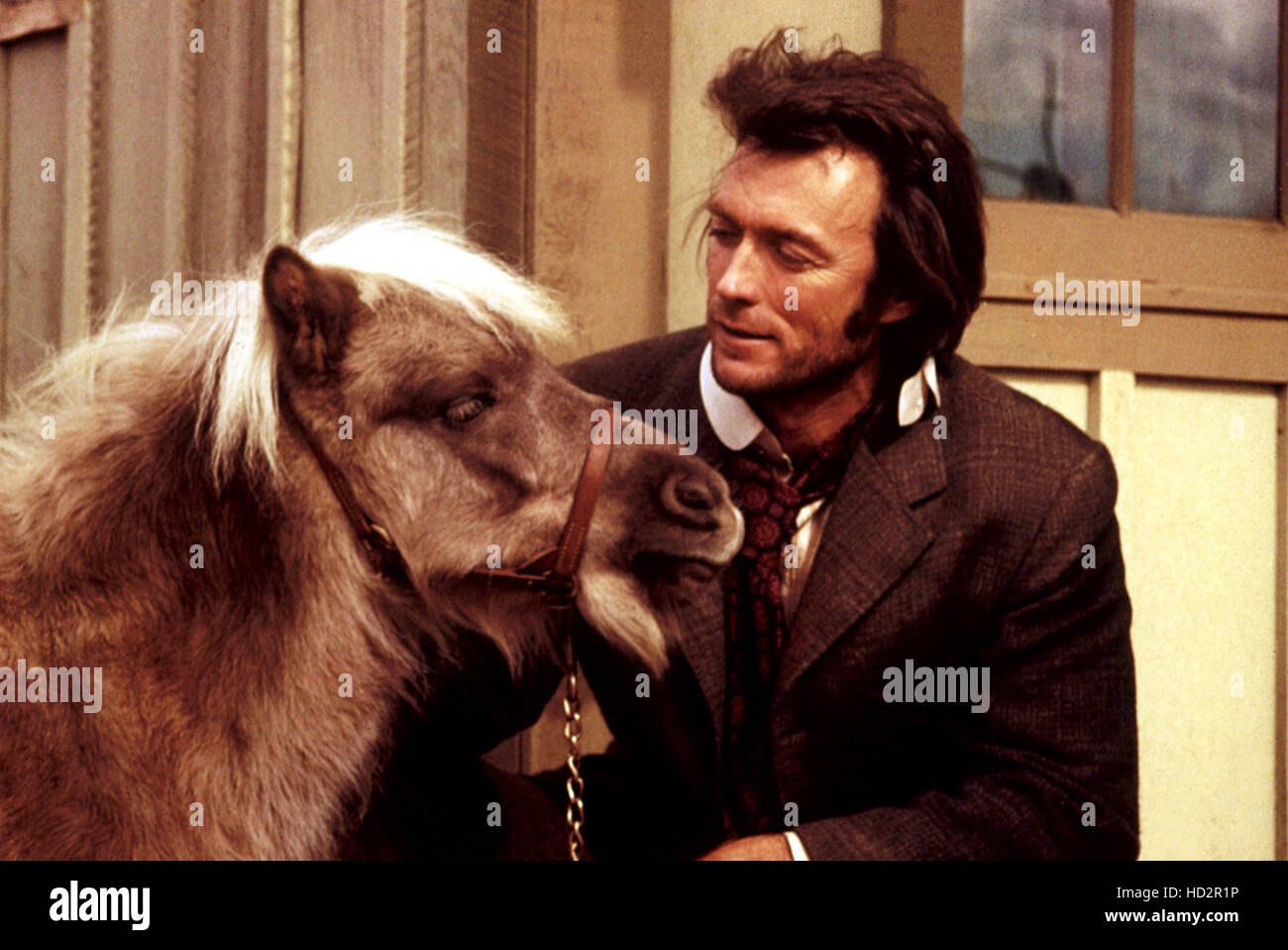 CLINT EASTWOOD hangs with a Shetland Pony on location for JOE KIDD