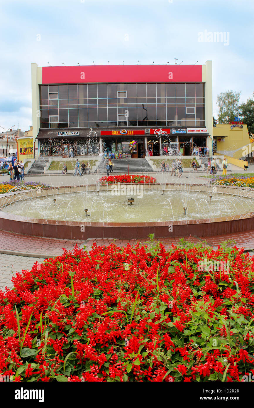 big  flower-bed with flowers of red salvia in Drohobych town Stock Photo