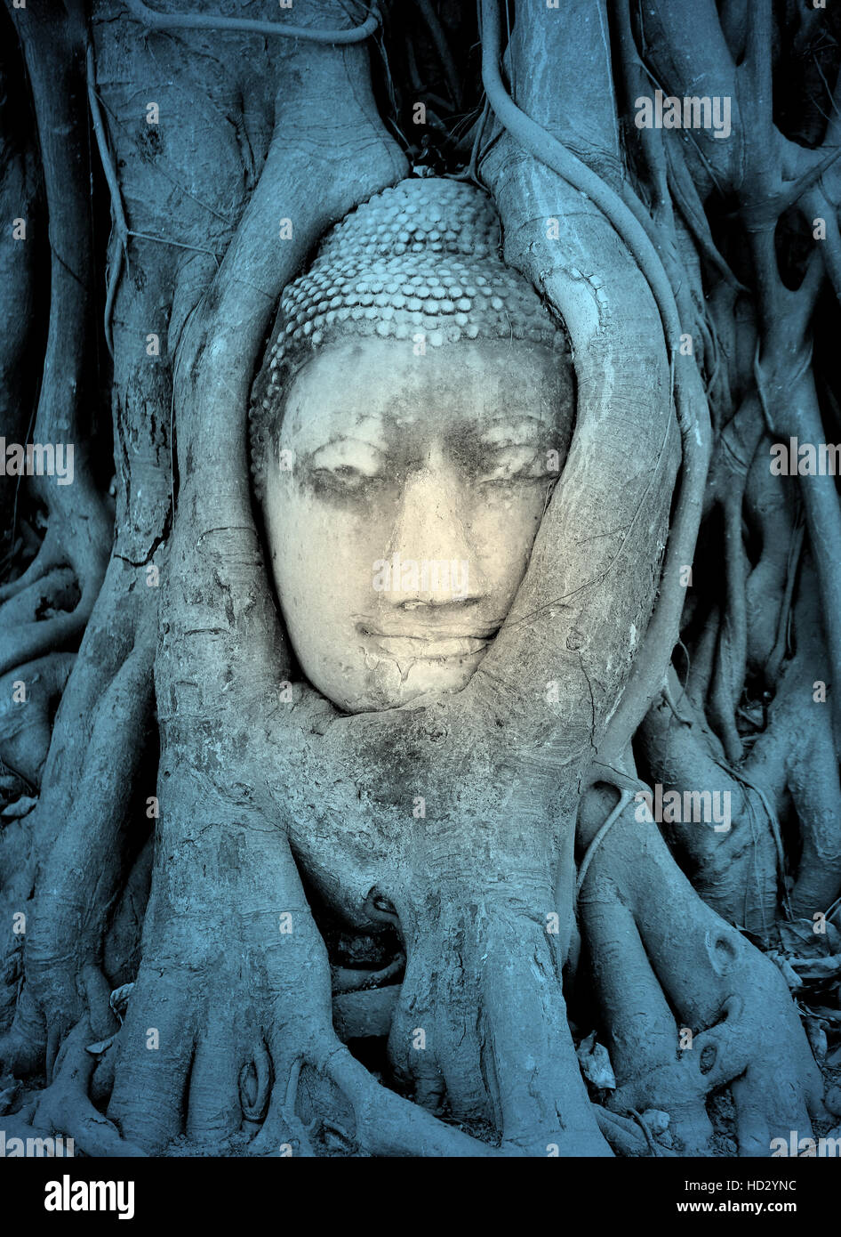 beautiful Buddhist statue in Thailand to photograph closeup Stock Photo Alamy