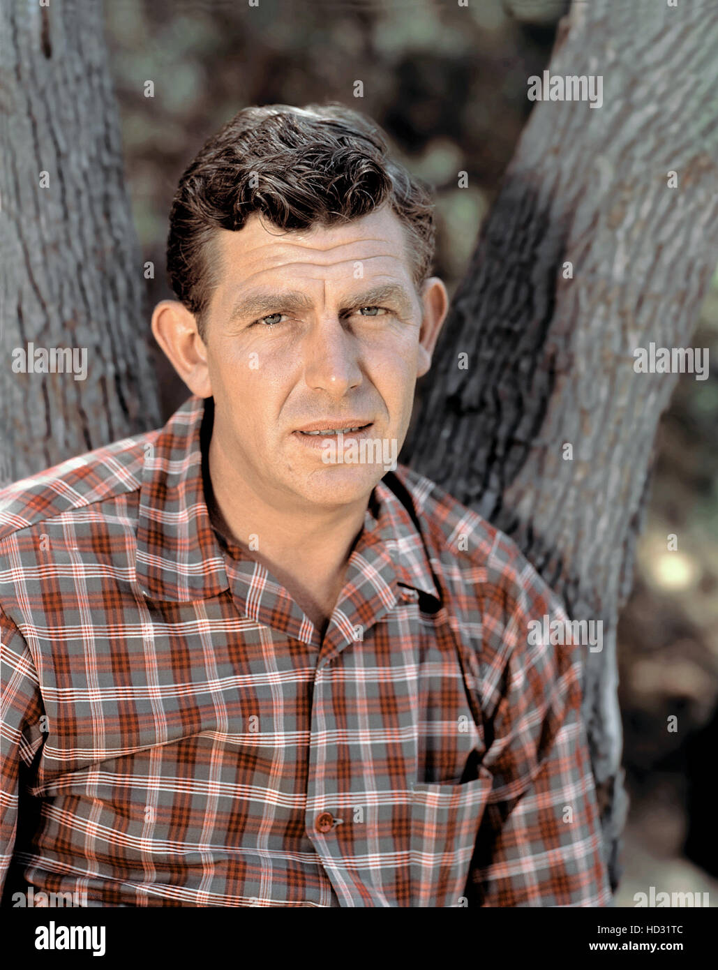 Exploring the Age of Andy Griffith: A Look Back at His Iconic 1960s Era with Don Knotts