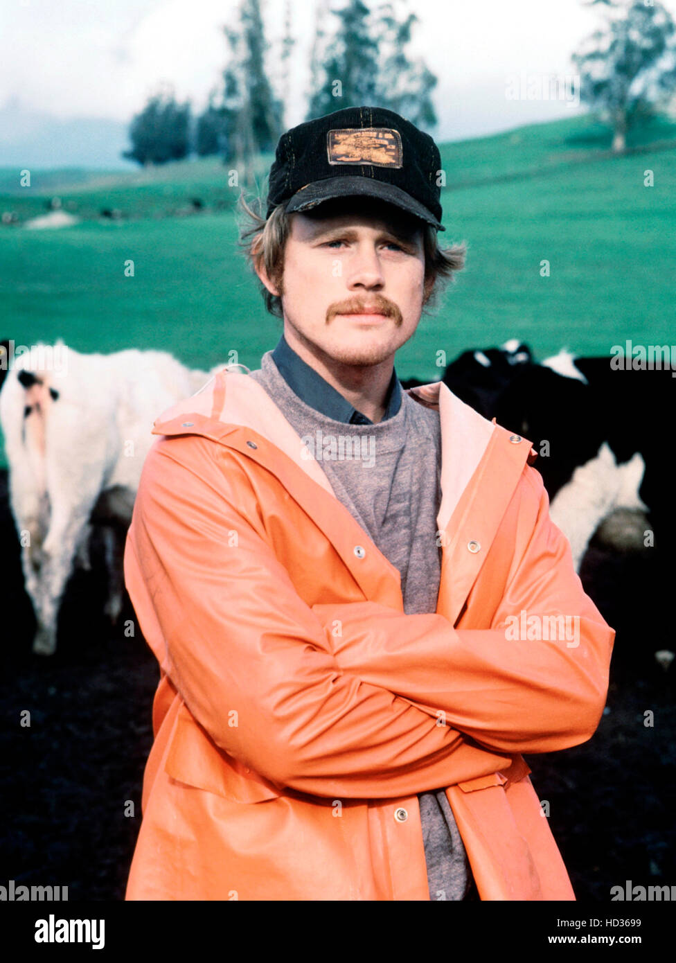 BITTER HARVEST, Ron Howard, 1981. © Charles Fries Productions