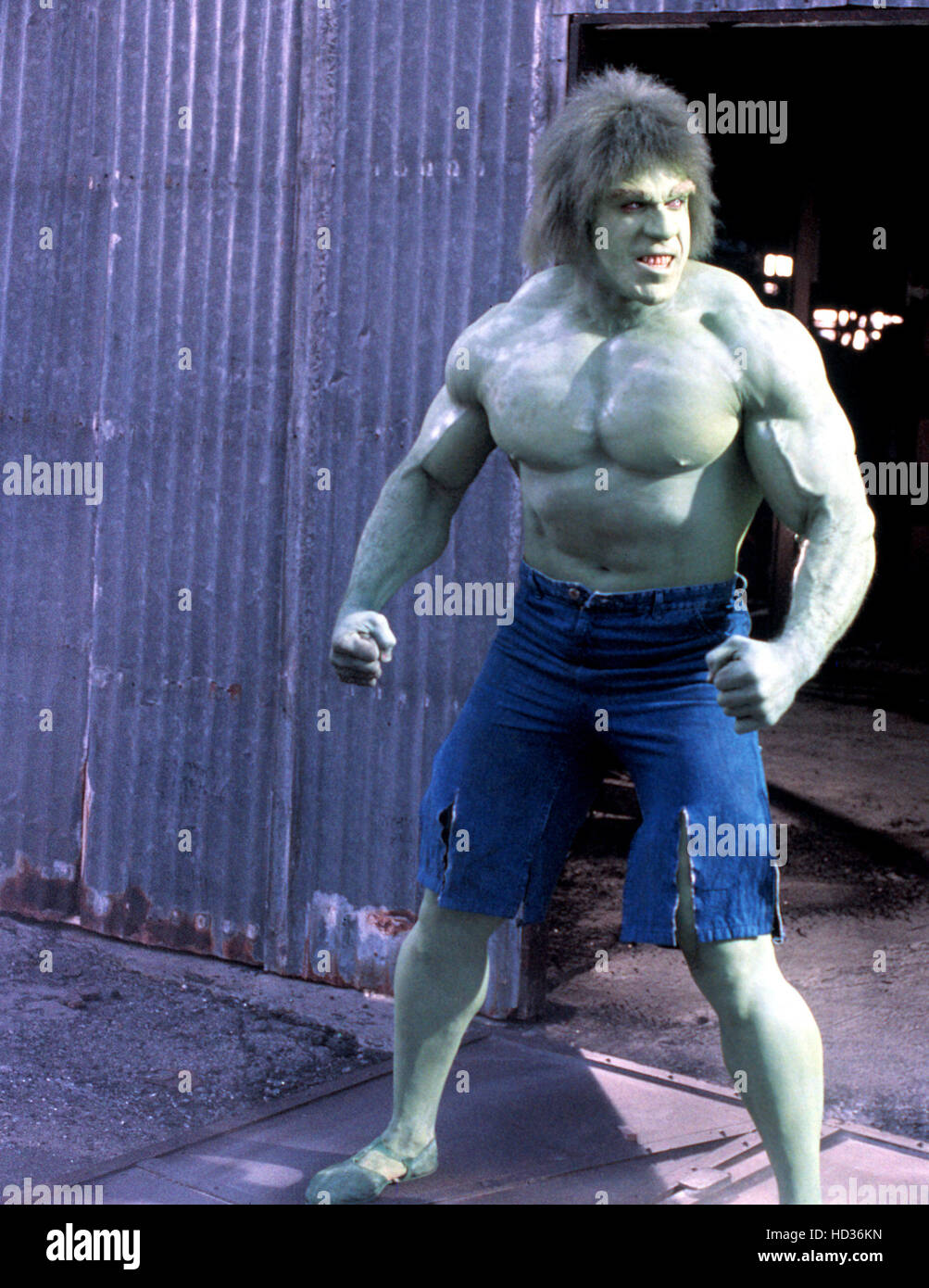 INCREDIBLE HULK, Lou Ferrigno, 1978-82, (c)Universal TV/courtesy ...